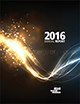  2016 Annual Report